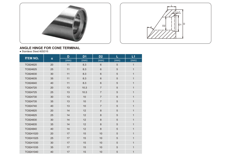 ANGLE HINGE FOR CONE TERMINAL1.png